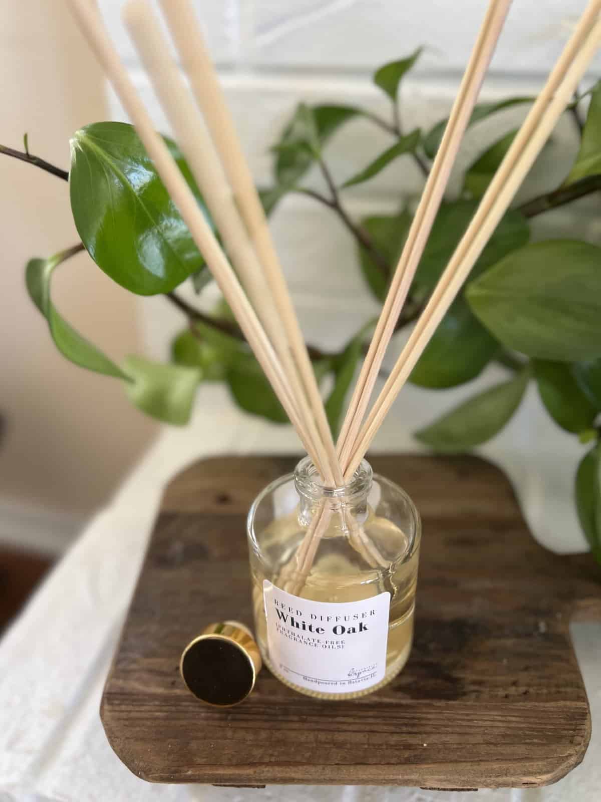 reed diffuser