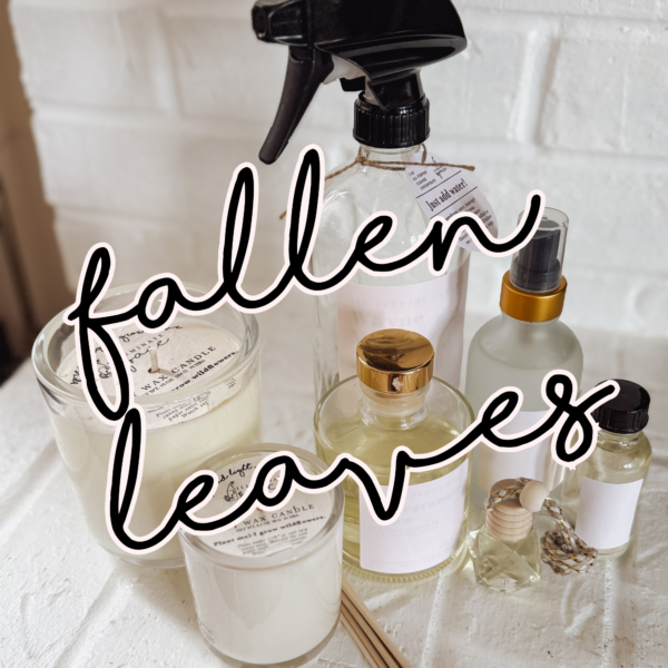fallen leaves scent collection